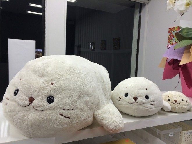 しろたんの洗濯・クリーニングは宅配クリーニングのネットで洗濯.com