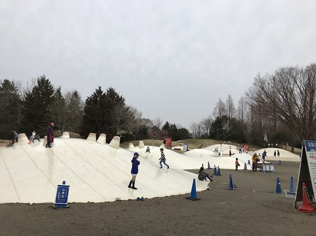 昭和記念公園 子連れの場合は駐車場の場所に要注意 クリーニング４０３ ヨンマルサン