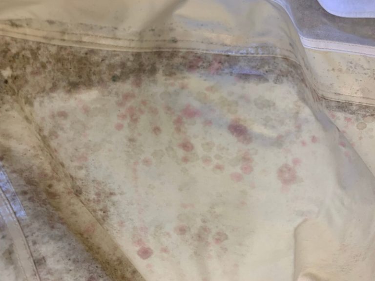 5037-413-ロータスベル16ft-伊藤様_200429_0010 5037-413-ロータスベル16ft-伊藤様_200429_0010