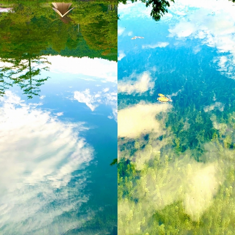 46B73E84-58A9-4B12-8B7F-D2265237B38B