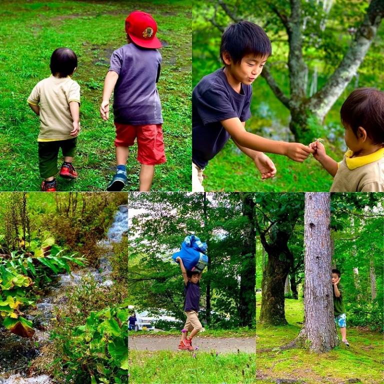 AE02E729-A243-46E0-A2B3-02C371D5F18B