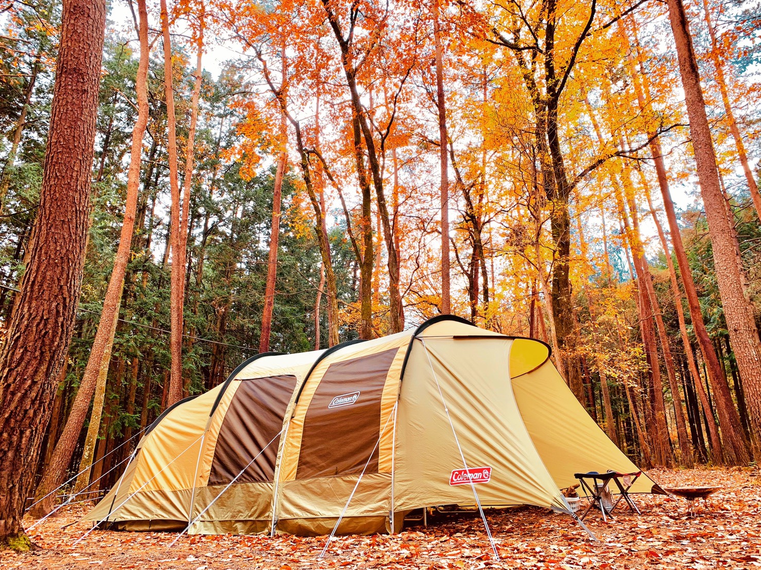 高橋の愛幕 ～一幕目 トンネル2ルームハウス/LDX～ | クリーニング