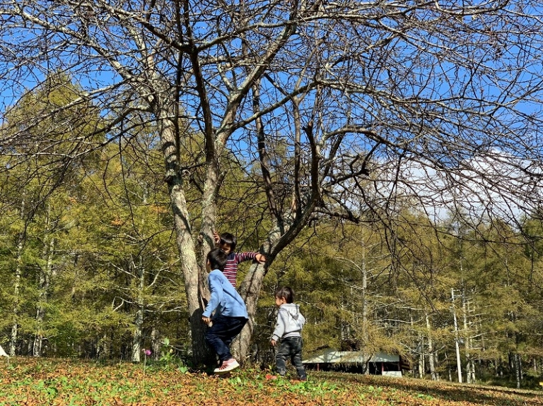 20201021五光キャンプ場_201023_29