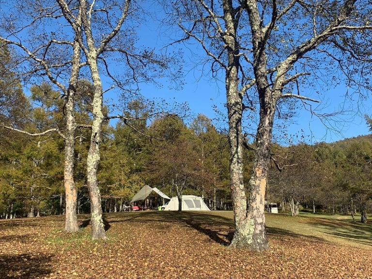 20201021五光キャンプ場_201023_32