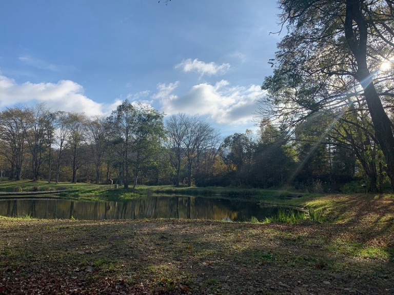 20201021五光キャンプ場_201023_34