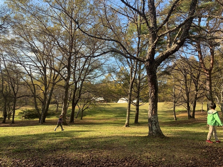 20201021五光キャンプ場_201023_36