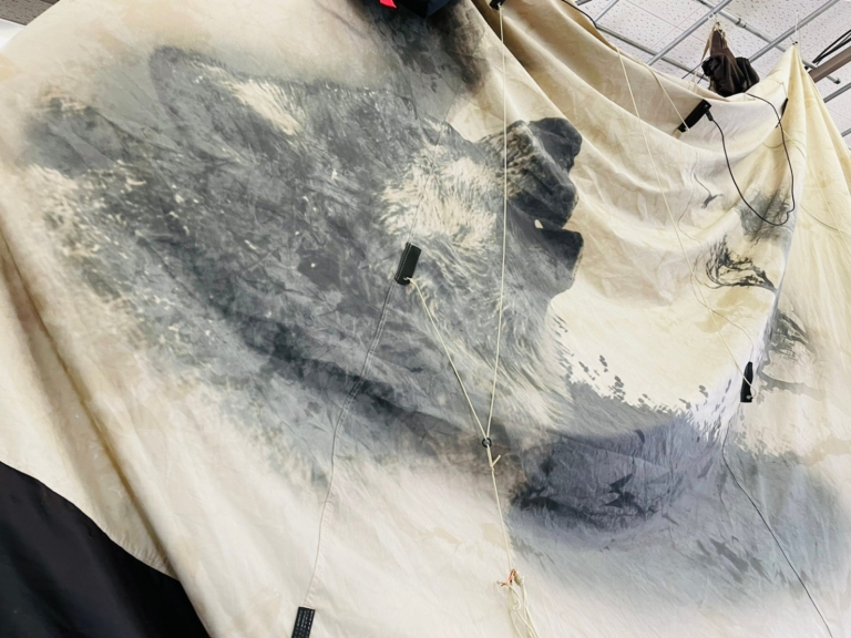 トピ用写真_210627_13