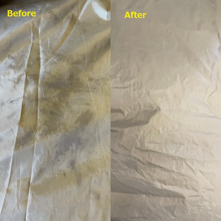 トピ用写真_210826_11 トピ用写真_210826_11