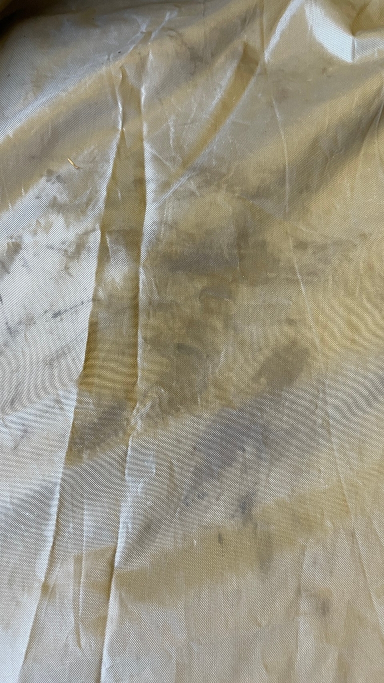 トピ用写真_210826_8 トピ用写真_210826_8