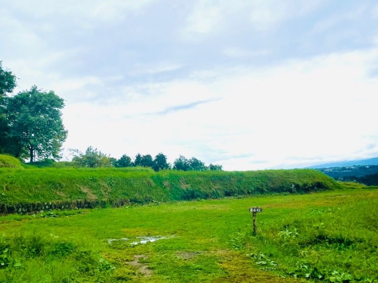 LINE_ALBUM_20211014_211017_12