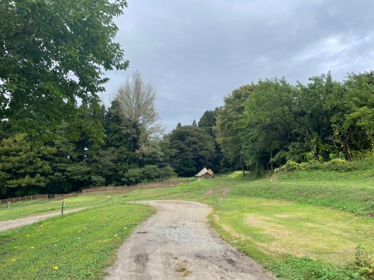 LINE_ALBUM_20211014_211017_18