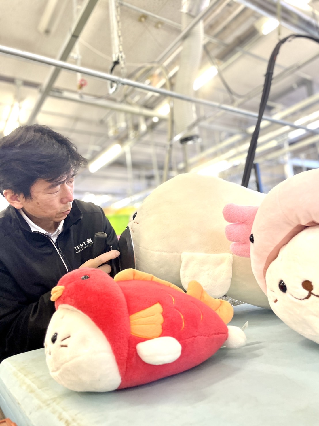 しろたんクリーニングはネットで洗濯.com | クリーニング403（ヨン