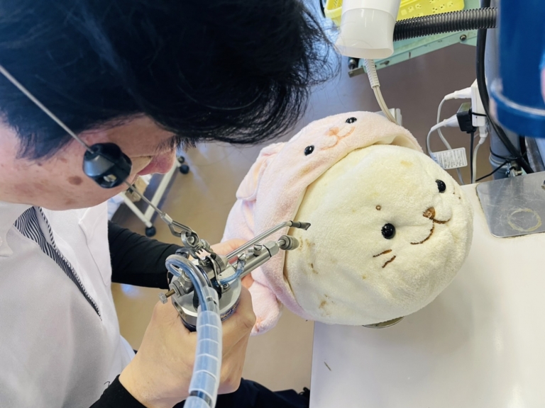 S__24289312 S__24289312