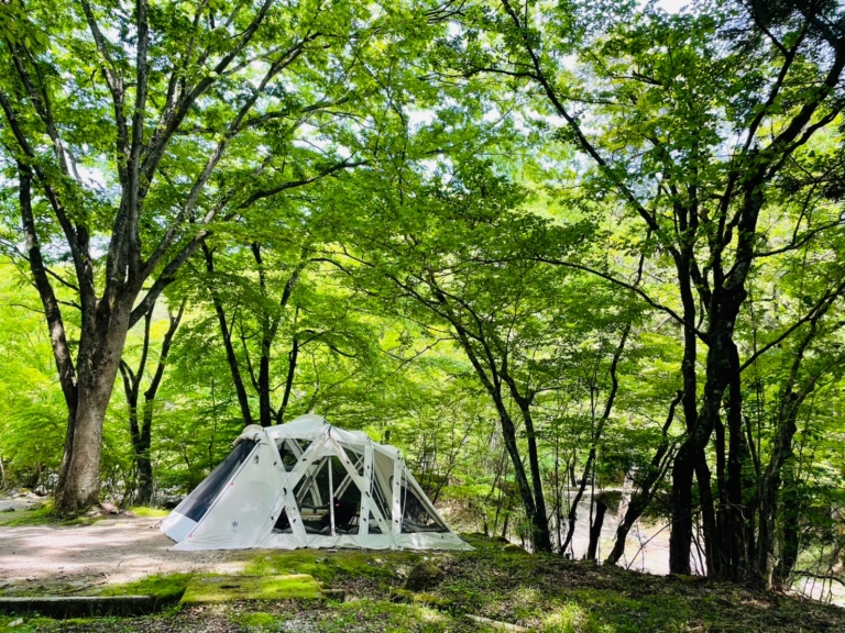 LINE_ALBUM_ファミキャン_220519_2