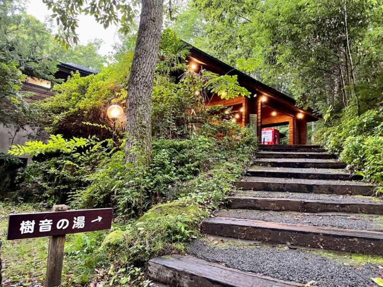 LINE_ALBUM_ファミキャン_220812_14