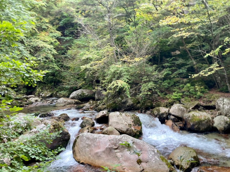 LINE_ALBUM_ファミキャン_221013_2