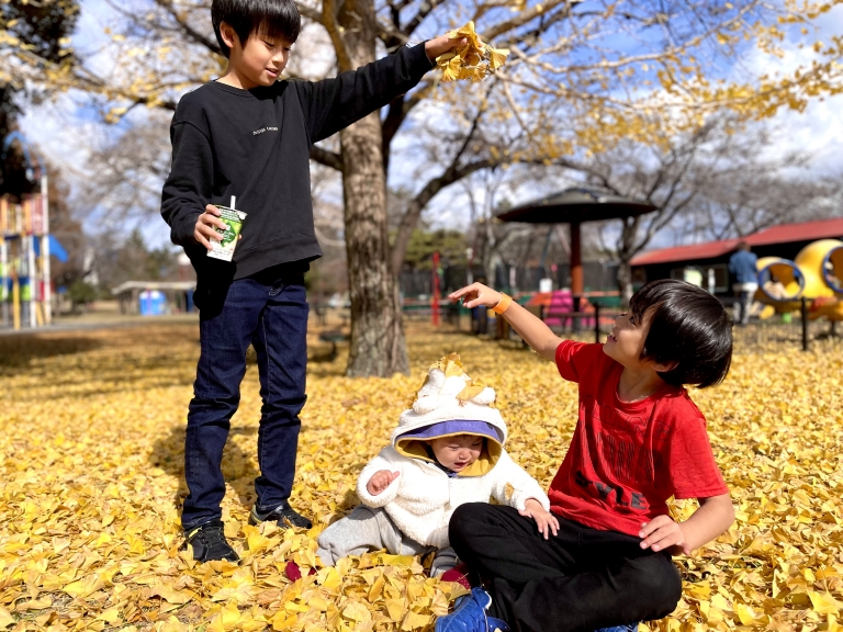 4F3DFBB7-69D9-47DE-A19A-69F854325E56