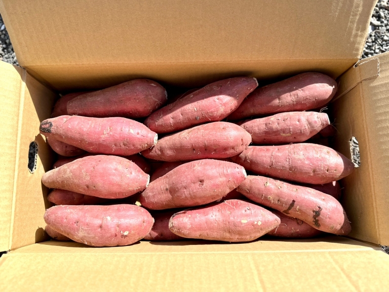 LINE_ALBUM_ファミキャン_221124_26