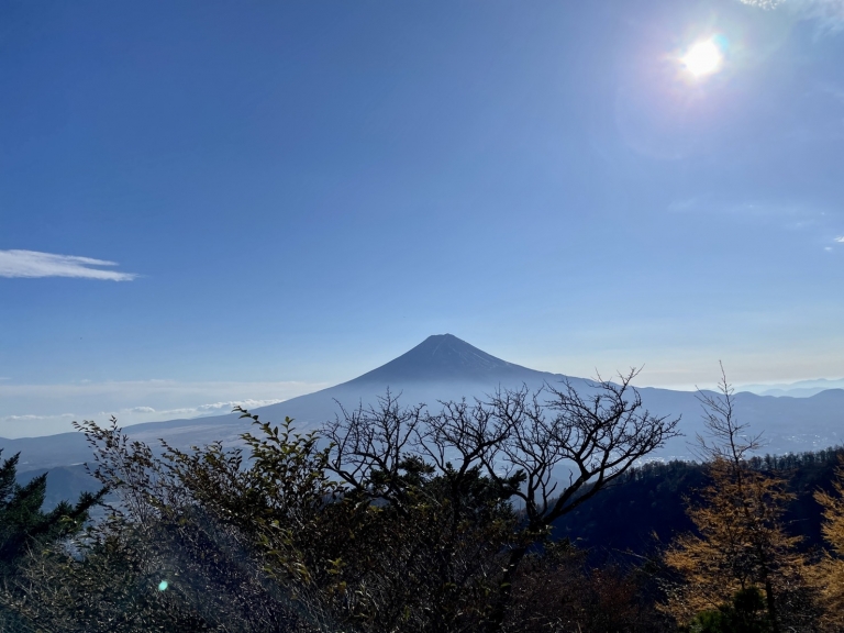 S__16359442 S__16359442