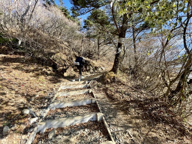 S__16359445 S__16359445