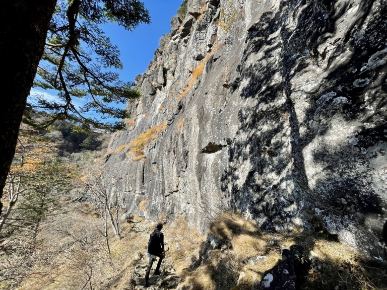 S__16359447 S__16359447