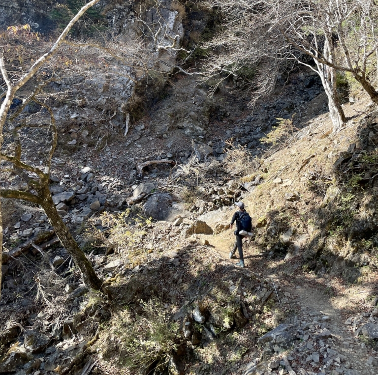 S__16359448 S__16359448