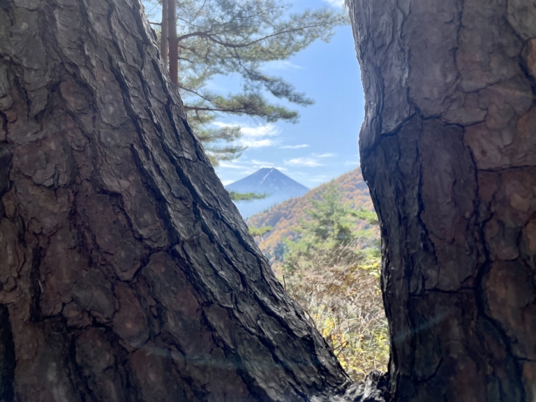 S__16359452 S__16359452