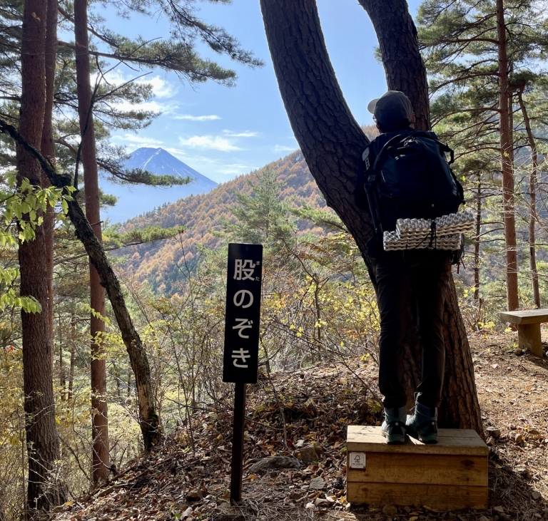 S__16359453 S__16359453