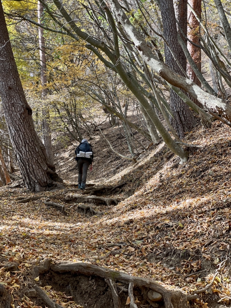 S__16359454 S__16359454