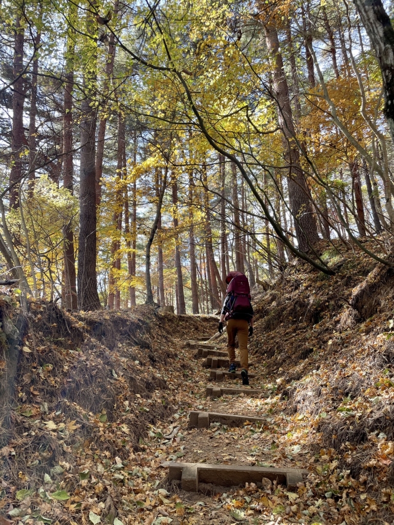 S__16359456 S__16359456