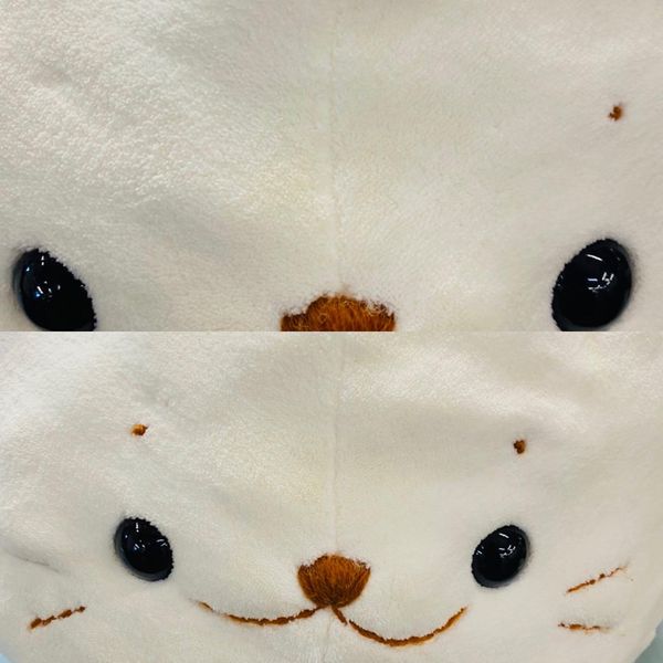 271695300_5111475895549617_8333614494089290776_n 271695300_5111475895549617_8333614494089290776_n