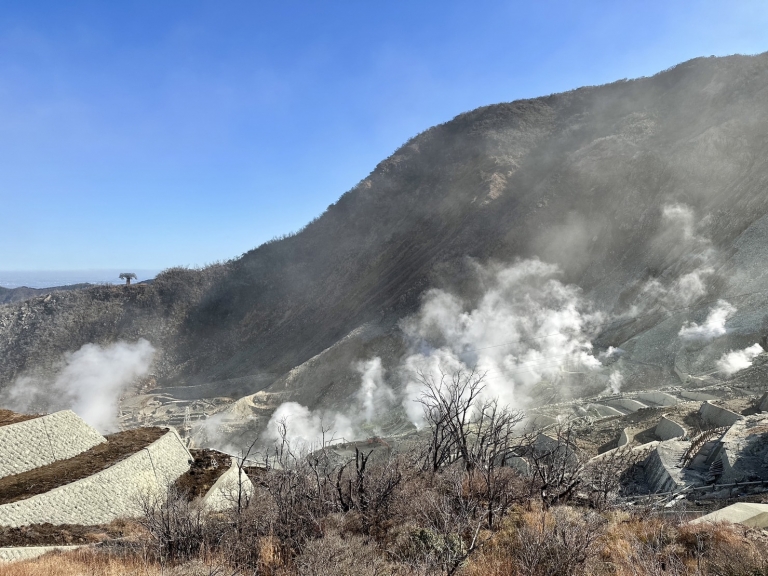 S__16621575 S__16621575