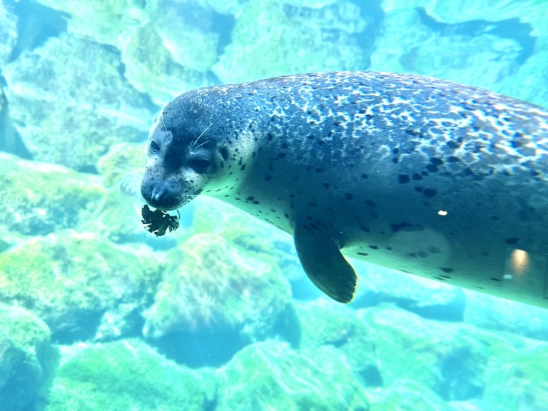 S__16621578 S__16621578