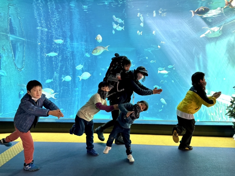 S__16621579 S__16621579