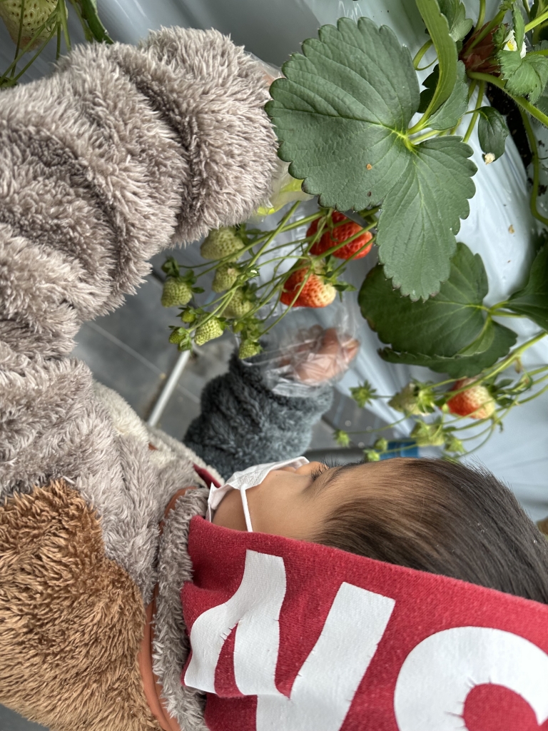 61A11038-9391-4233-8C83-7F2AECD38606