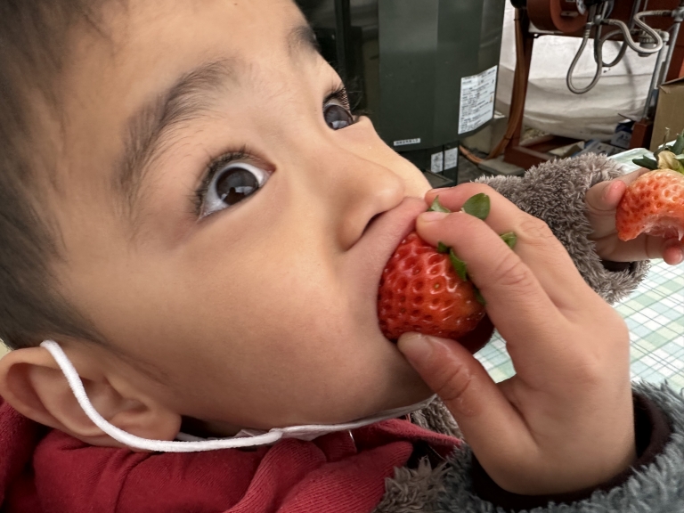 F4E329CD-E702-442D-B973-7DFB0734D38C