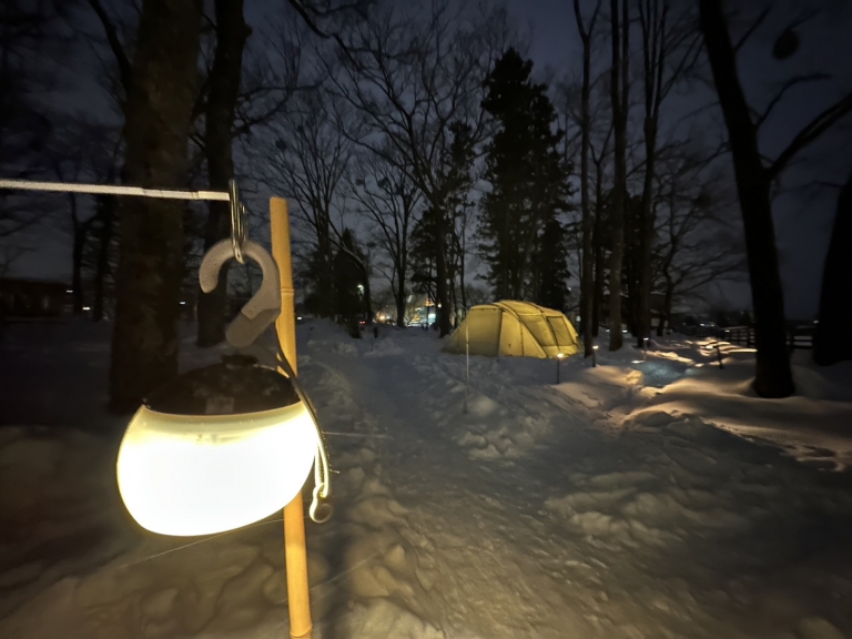 S__7249924 S__7249924