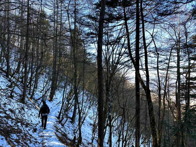 121DCA61-EB30-44B1-B871-31366C39B895