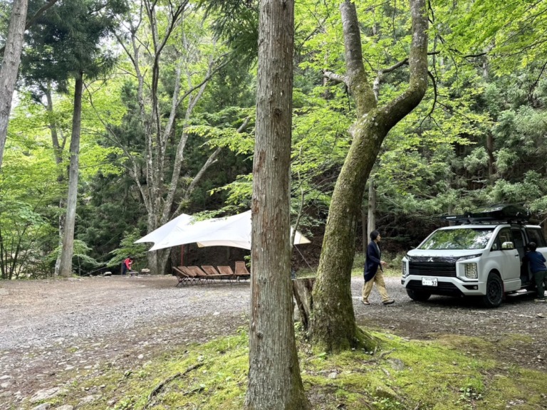 S__18284587 S__18284587