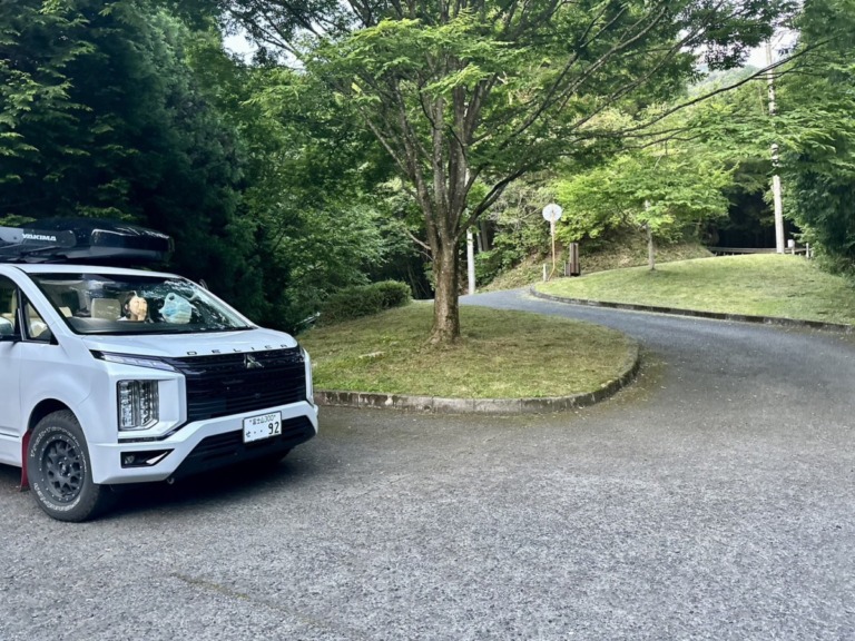 S__18546702 S__18546702