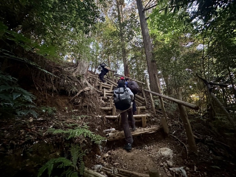 S__18546707 S__18546707