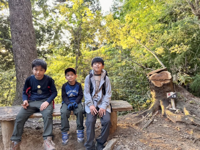 S__18546708 S__18546708