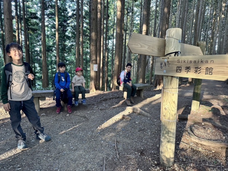 S__18546709 S__18546709