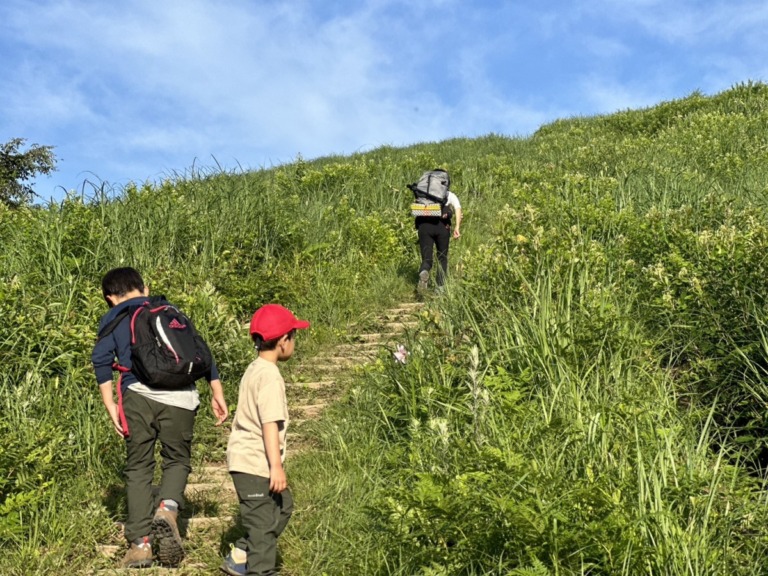 S__18546710 S__18546710