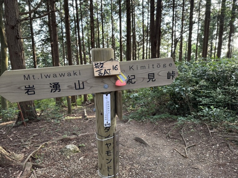 S__18546718 S__18546718