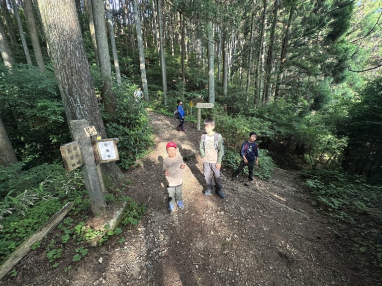 S__18546719 S__18546719