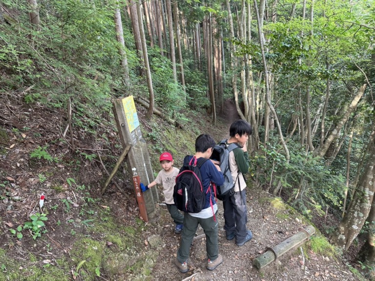 S__18546720 S__18546720