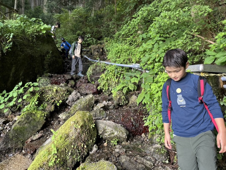 S__18546722 S__18546722