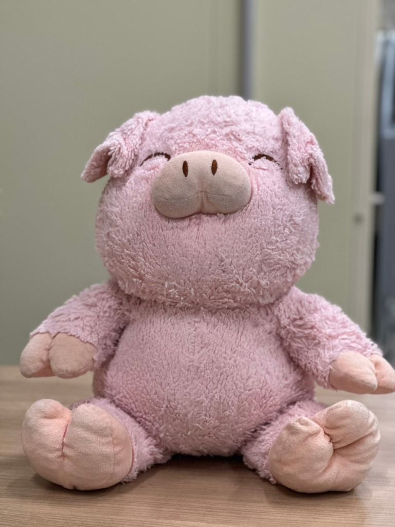 LINE_ALBUM_ぬいぐるみ_230714_0