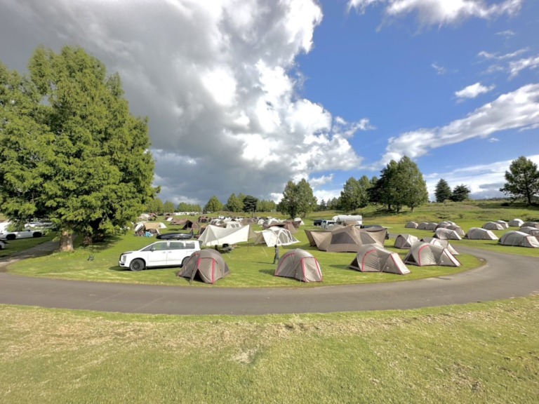 S__20037663_0 S__20037663_0